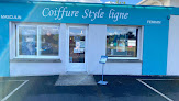 Photo du Salon de coiffure Style Ligne Coiffure à Savigné-l'Évêque