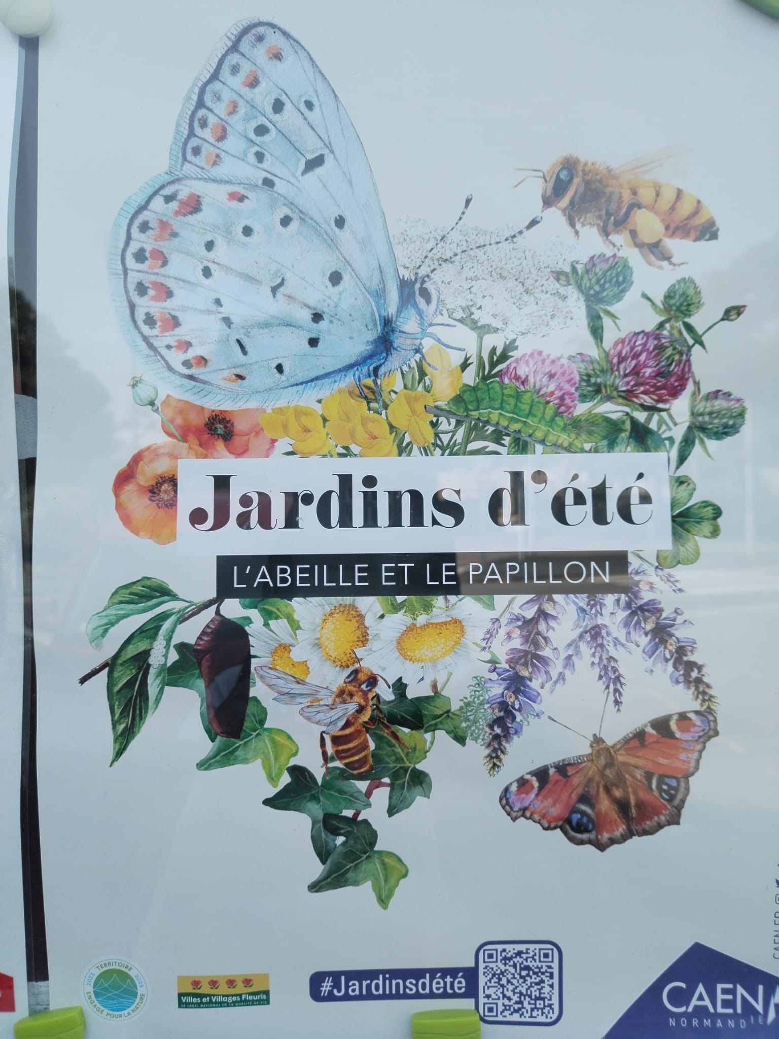 Photo n° 3 de l'avis de ananas.l fait le 29/05/2023 à 21:41