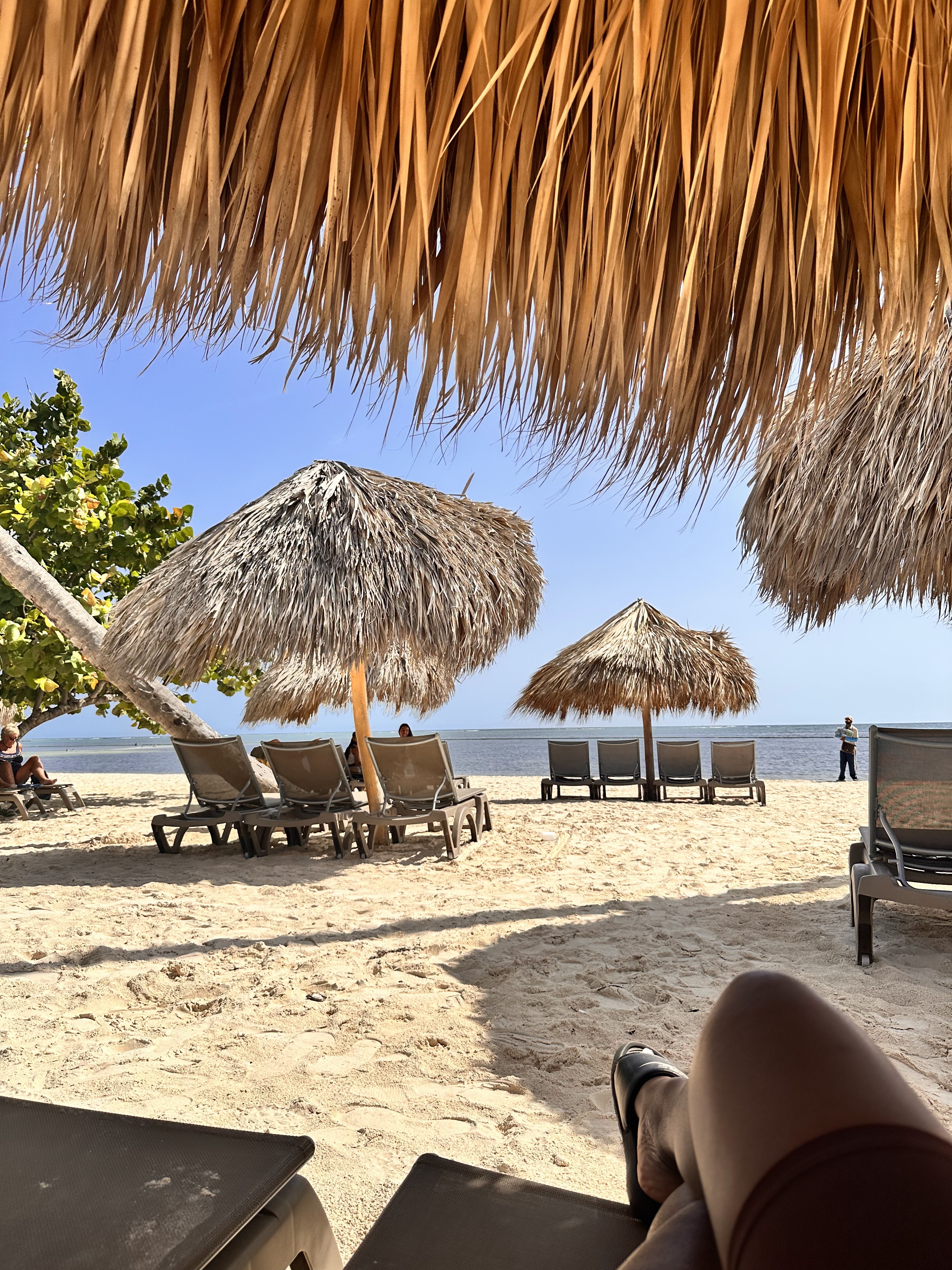Photo n° 3 de l'avis de Mariame. fait le 22/08/2023 à 05:25