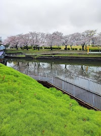 荒子川公園 北駐車場