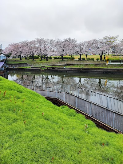 荒子川公園 北駐車場
