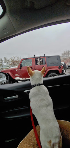 Pet Supply Store «Pet Food Warehouse», reviews and photos, 2500 Williston Rd, South Burlington, VT 05403, USA