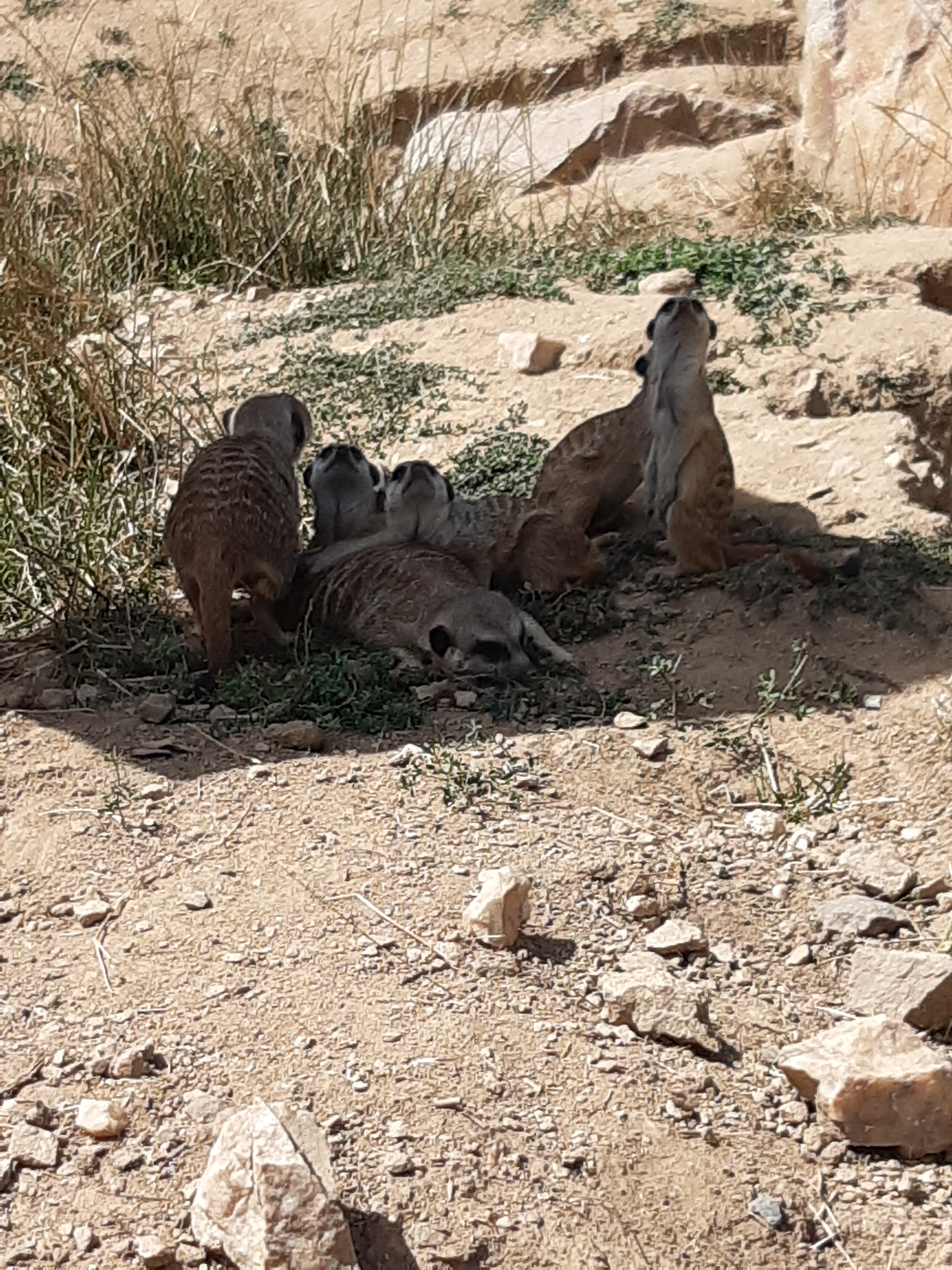 Photo n° 7 de l'avis de Judikaël.� fait le 18/08/2019 à 06:44