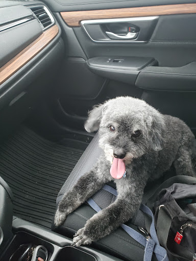 Pet Supply Store «Bark Avenue», reviews and photos, 4781 Granite Dr, Rocklin, CA 95677, USA