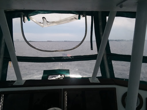 Home Improvement Store «Tractor Supply Co.», reviews and photos, 5359 W US Hwy 90, Lake City, FL 32055, USA