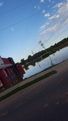 Discount Store «Dollar General», reviews and photos, 1002 US-62, Pocahontas, AR 72455, USA