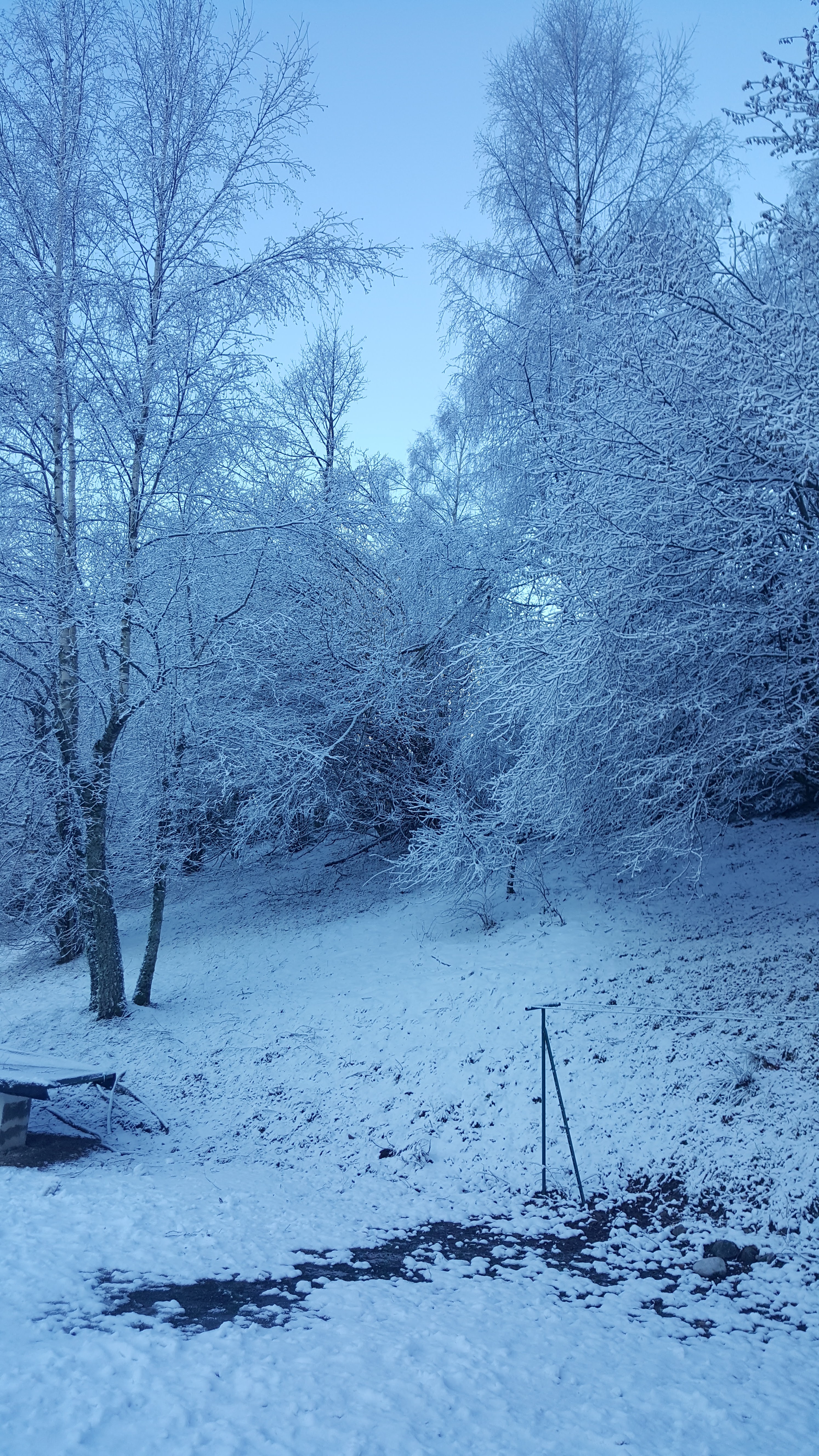 Photo n° 2 de l'avis de Veronique.o fait le 22/01/2020 à 20:10