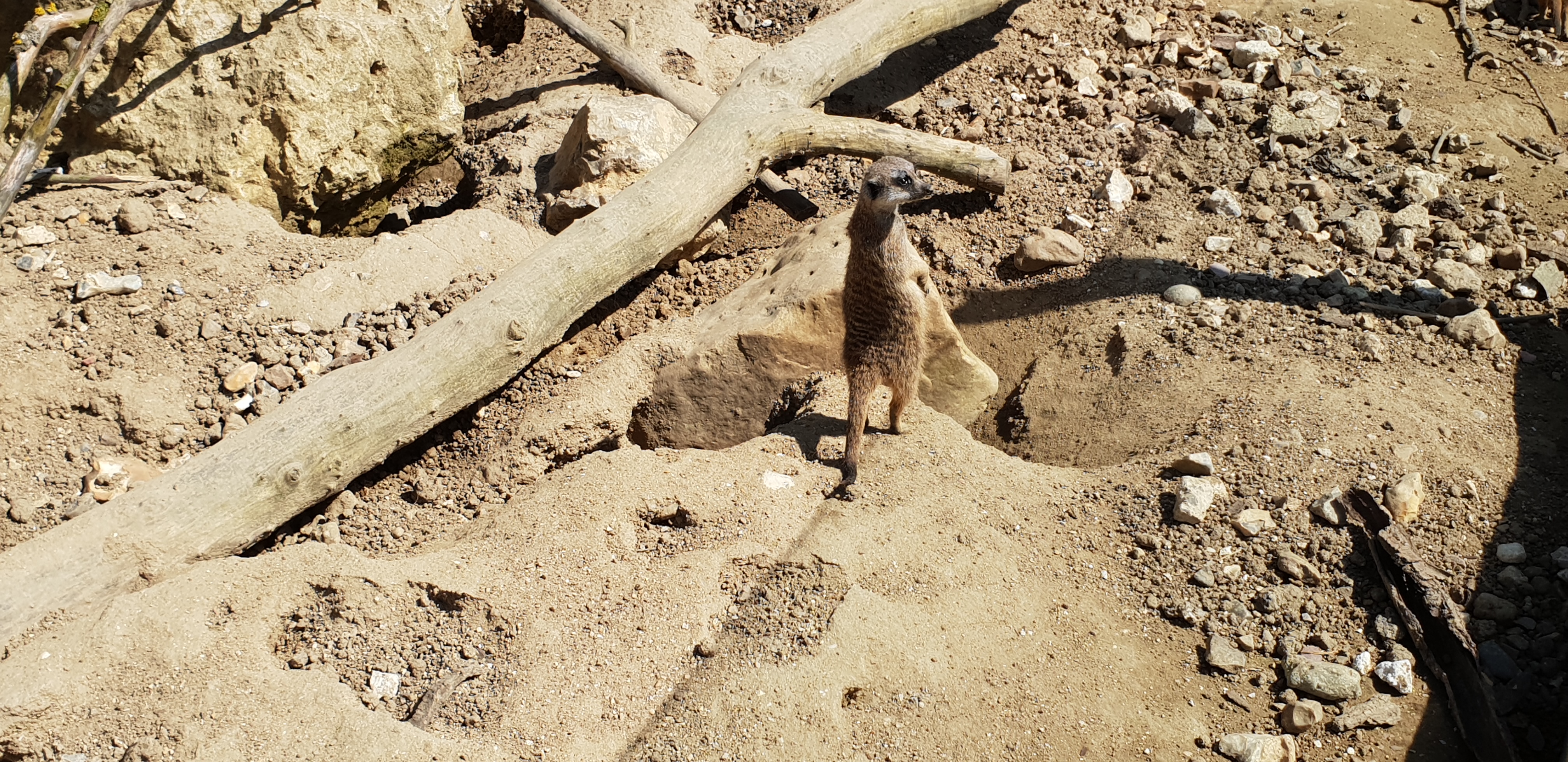 Photo n° 3 de l'avis de Dominique.A fait le 20/04/2018 à 18:56