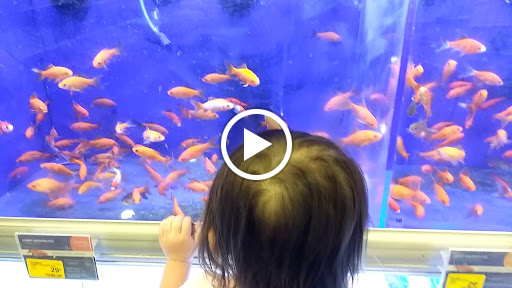 Pet Supply Store «PetSmart», reviews and photos, 7290 W Bell Rd, Glendale, AZ 85308, USA