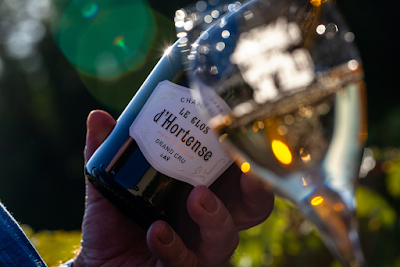 Champagne Pierre LEBOEUF à Aÿ-Champagne