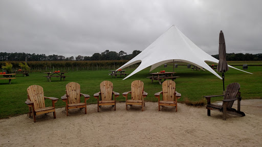 Vineyard «Hawk Haven Vineyard & Winery», reviews and photos, 600 S Railroad Ave, Rio Grande, NJ 08242, USA