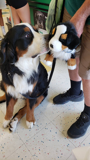 Pet Supply Store «Pet Supplies Plus», reviews and photos, 4488 Commercial Dr, New Hartford, NY 13413, USA