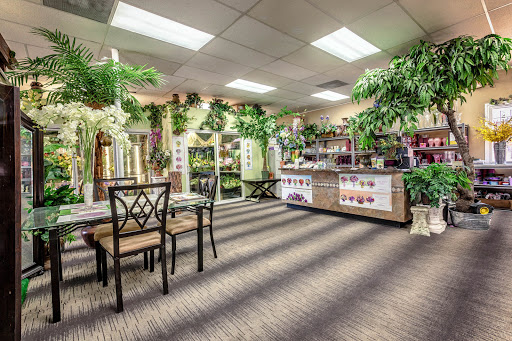 Florist «Arrowhead Flowers», reviews and photos, 6680 W Bell Rd, Glendale, AZ 85308, USA