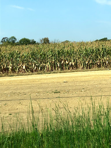 Park «Cottell Park», reviews and photos, 5847 Irwin Simpson Rd, Mason, OH 45040, USA