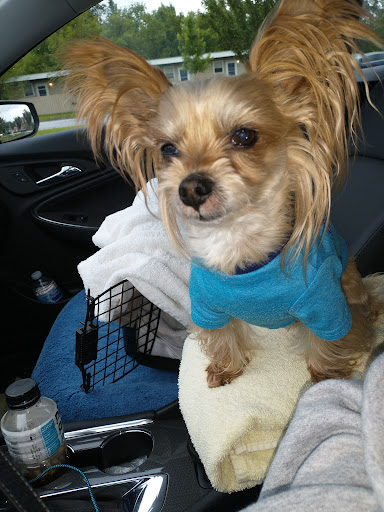 2 Chrisemily Ln, Milton, VT 05468, USA