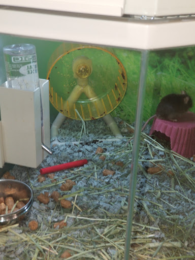 Pet Supply Store «PetSmart», reviews and photos, 2153 75th St, Darien, IL 60561, USA