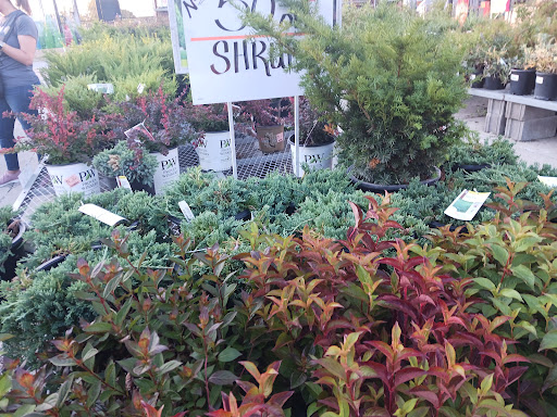 Home Improvement Store «The Home Depot», reviews and photos, 660 Twelve Mile Rd, Madison Heights, MI 48071, USA