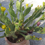 Photo n°3 de l'avis de Marina.n fait le 11/07/2023 à 14:16 sur le  Agua Green Resort à Noto