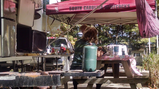 Campground «Town Mountain Travel Park», reviews and photos, 48 Town Mountain Rd, Hendersonville, NC 28792, USA