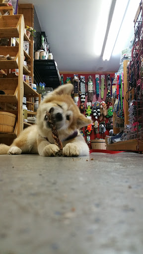 Pet Supply Store «Cheshire Cat & Dog Too», reviews and photos, 1320 Waterbury Rd, Cheshire, CT 06410, USA