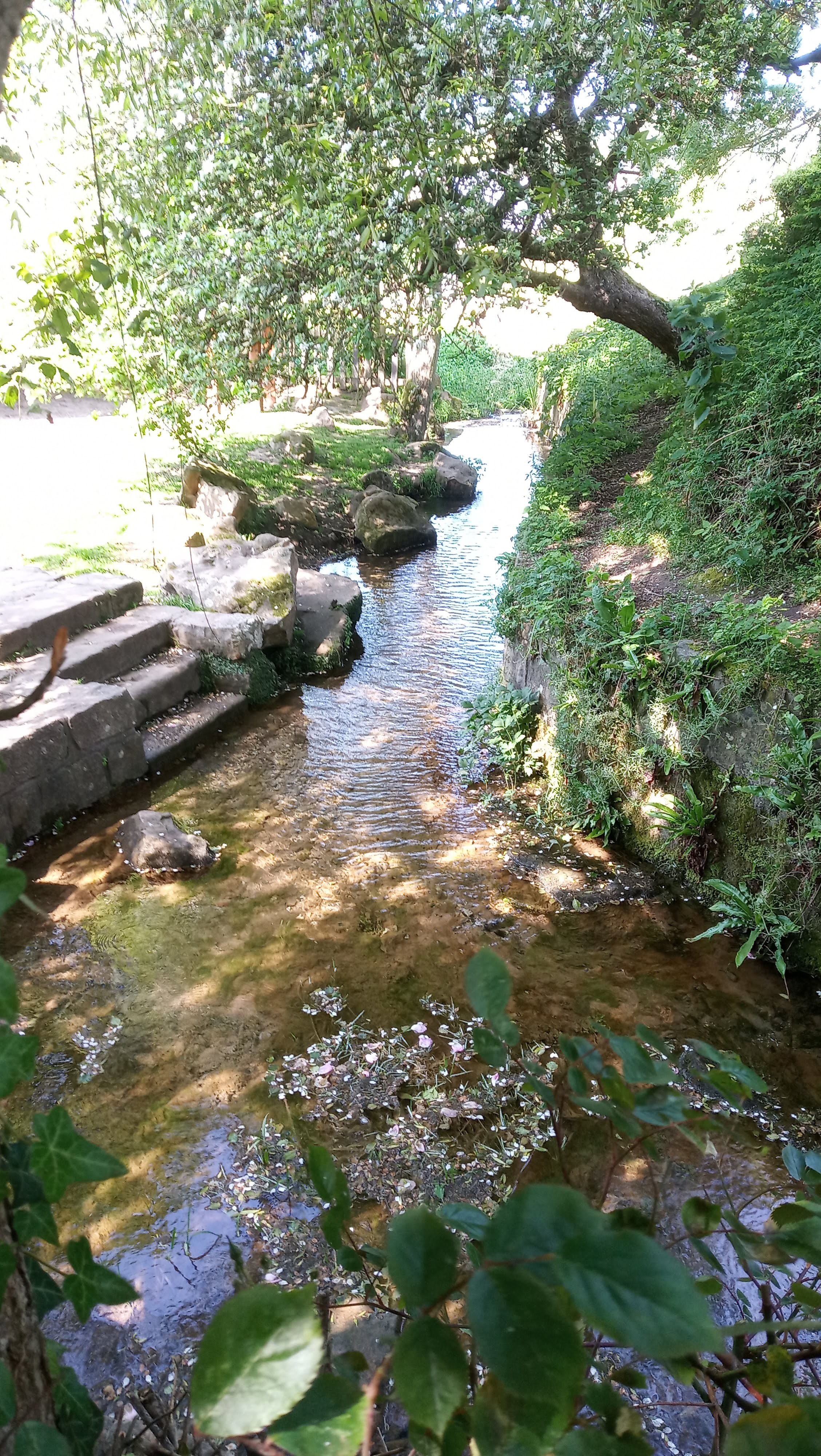 Photo n° 10 de l'avis de Olivier.a fait le 22/06/2023 à 21:32