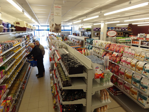 Katze, Hund & Co unter Schwerin, 