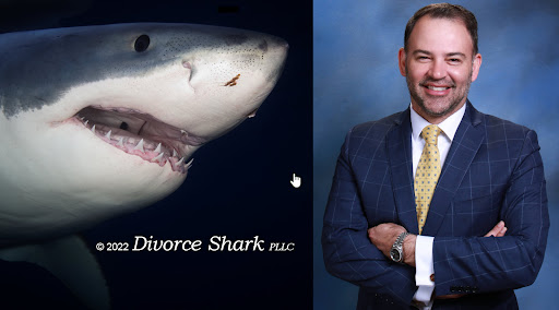 Divorce Shark - Zelotes Divorce Litigation