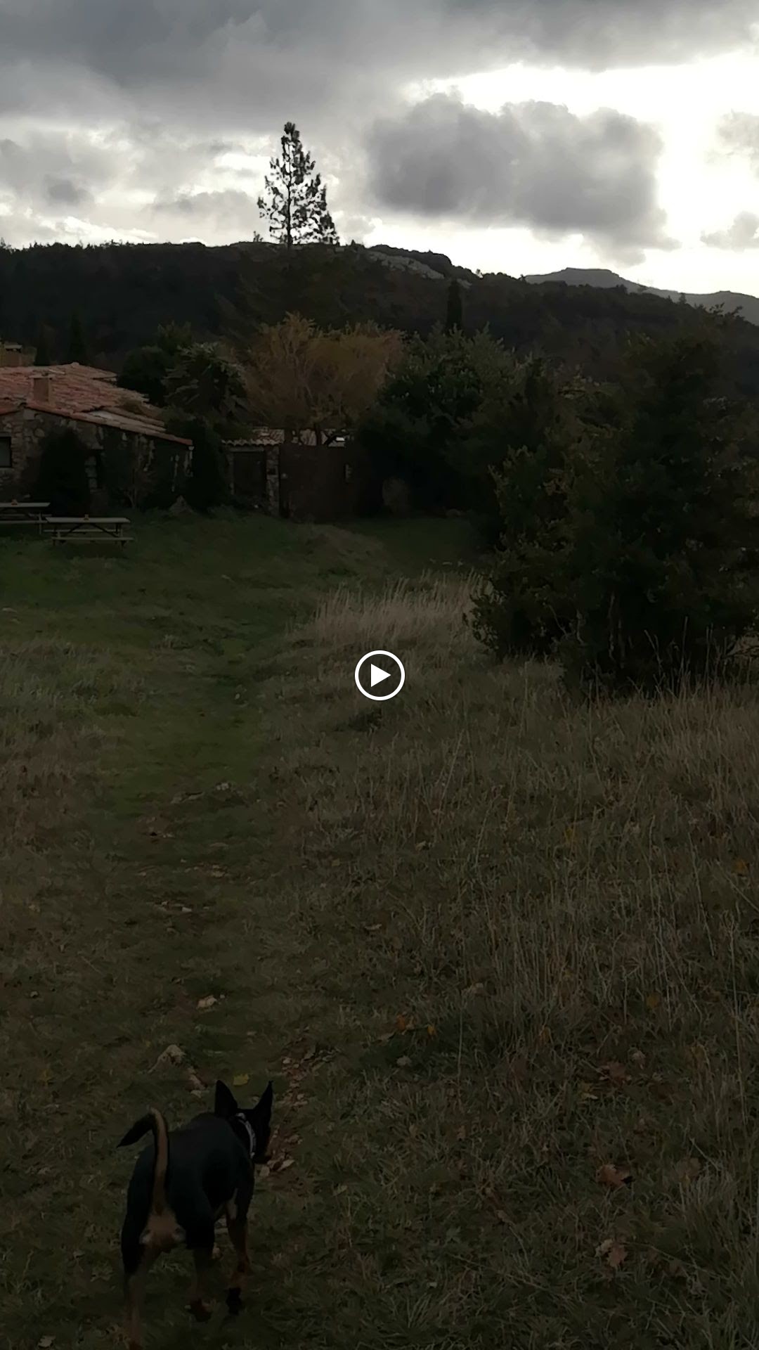 Photo n° 30 de l'avis de Montse.s fait le 21/11/2023 à 20:20