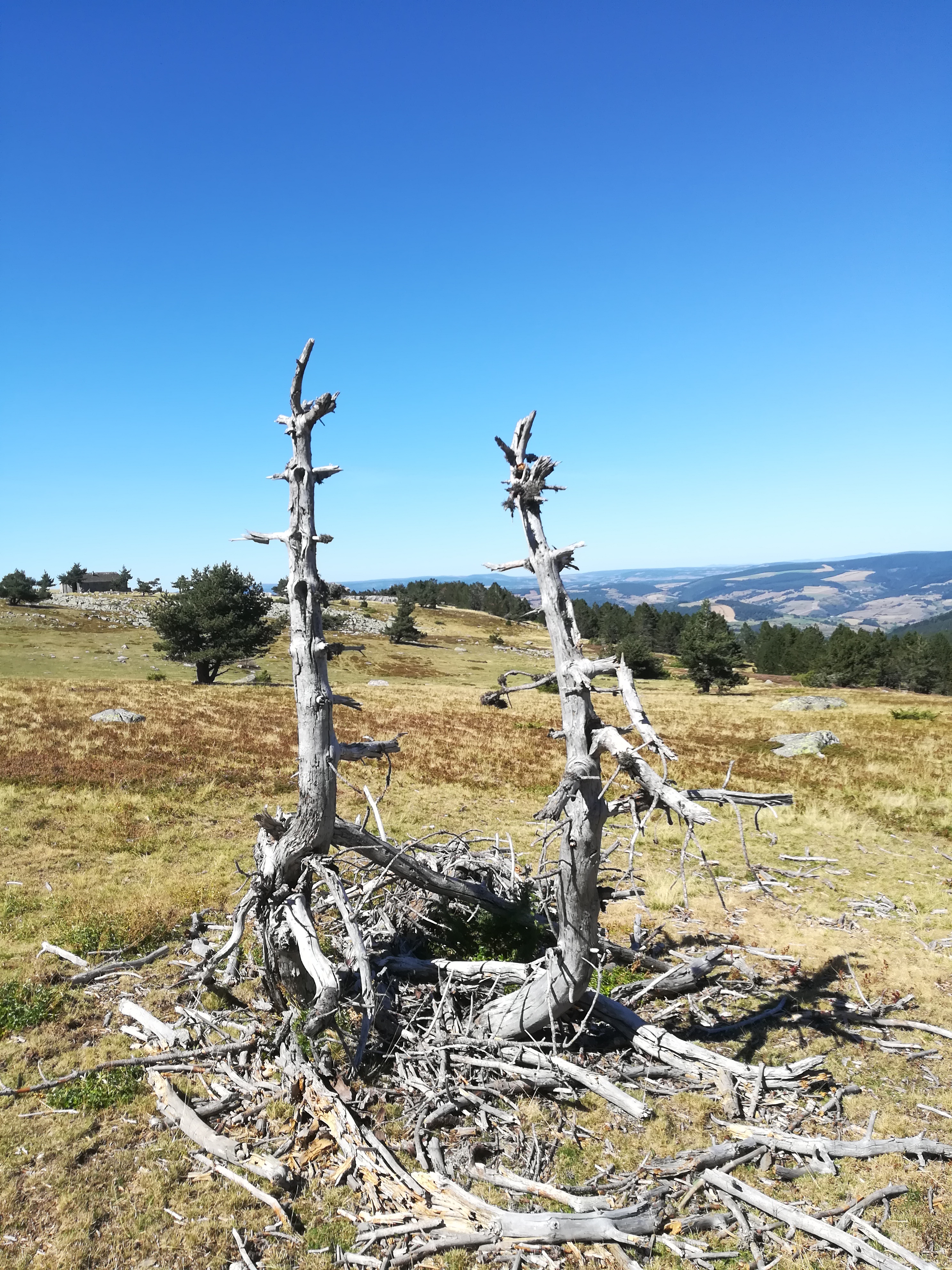 Photo n° 2 de l'avis de Jean-Marc.o fait le 09/09/2019 à 16:27