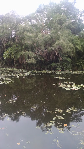 Museum «Bonnet House Museum & Gardens», reviews and photos, 900 N Birch Rd, Fort Lauderdale, FL 33304, USA