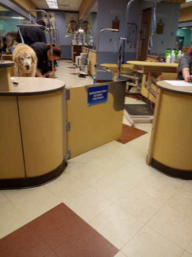 Pet Supply Store «PetSmart», reviews and photos, 12142 Jefferson Ave, Newport News, VA 23602, USA