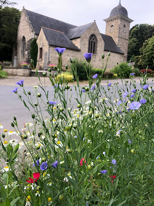 Extérieur Gîte Fleurs de lin 35630 Saint-Brieuc-des-Iffs