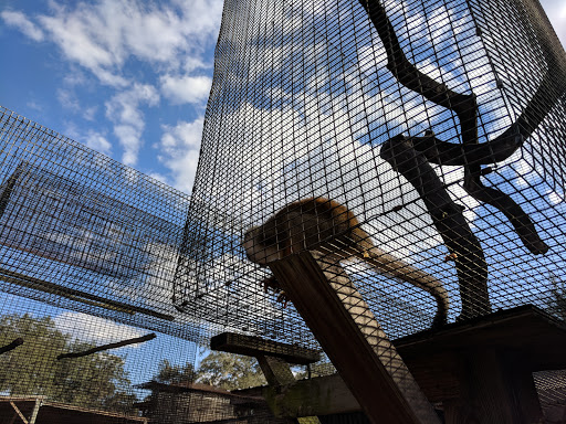 Ranch «Giraffe Ranch», reviews and photos, 38650 Mickler Rd, Dade City, FL 33523, USA