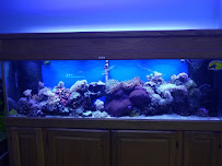 Monfort Aquarium & Pet - Photo 8 - Car repair in Cincinnati, OH, Cincinnati
