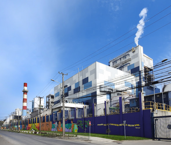 Opiniones de Central Termoeléctrica Bocamina en Coronel - Electricista