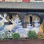 Photo n° 17 de l'avis de scherpenseel.h fait le 23/12/2023 à 20:26 pour Noël à Kaysersberg à Kaysersberg