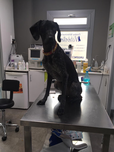 Clínica Veterinaria Vistabella en Sevilla