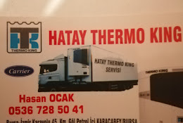 Hataylı thermoking servisi