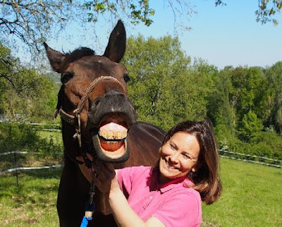 Equi-Libre Shiatsu & Kinésiologie : Shiatsu équin/ Kinésiologie humaine et animale à Saubole