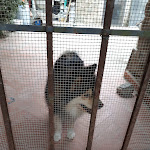 Photo n°5 de l'avis de alessio.p fait le 25/07/2021 à 17:59 sur le  Villa San Michele à Lucolena