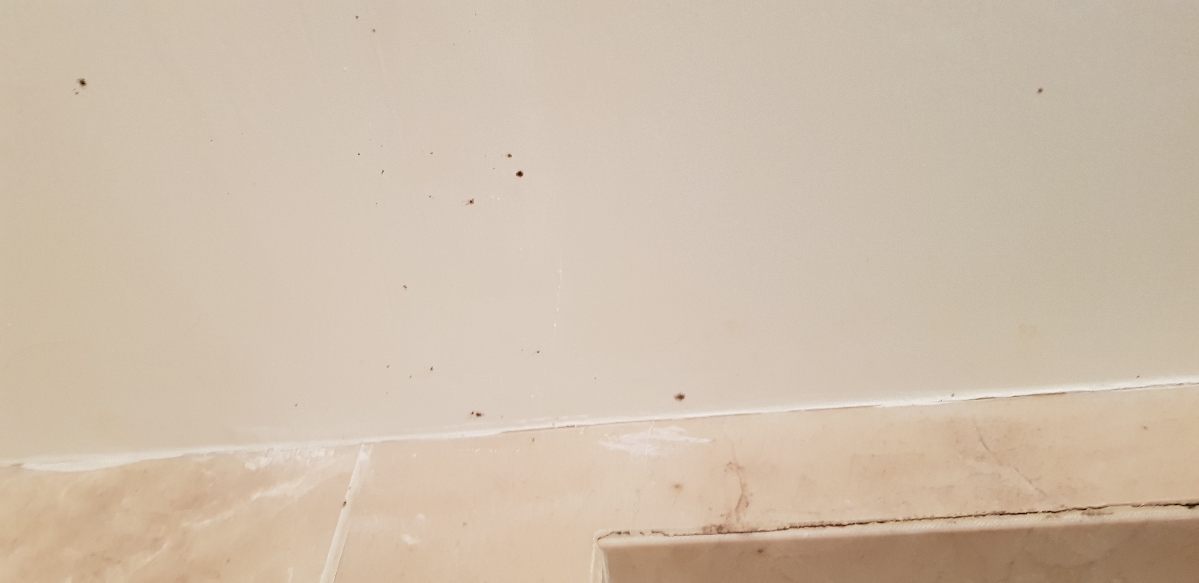 Photo n° 20 de l'avis de watercoolingmodding. fait le 07/10/2018 à 07:51