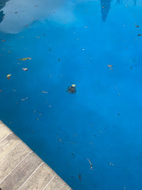 ProCare Pool Service - Photo 7 - Car repair in , Leesburg