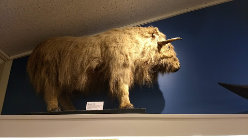 Monument «Pilgrim Monument», reviews and photos, 1 High Pole Hill Rd, Provincetown, MA 02657, USA