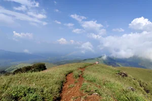 Tadiyandamol Kundh Trek Top image