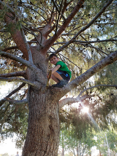 Park «W. Wayne Bunker Family Park», reviews and photos, 7351 W Alexander Rd, Las Vegas, NV 89129, USA