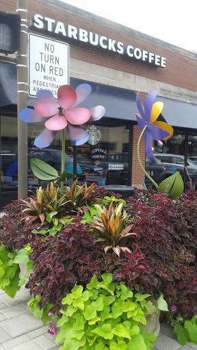 Coffee Shop «Starbucks», reviews and photos, 164 N York St, Elmhurst, IL 60126, USA