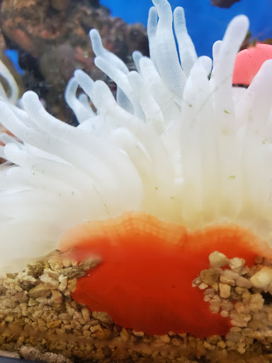 Pet Supply Store «Petco Animal Supplies», reviews and photos, 200 Center Blvd S, Christiana, DE 19702, USA