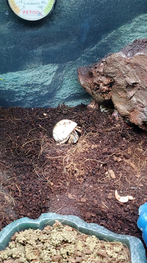 Pet Supply Store «Petco Animal Supplies», reviews and photos, 35860 Chester Rd, Avon, OH 44011, USA