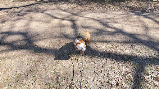 Park «Bear Creek Nature Park», reviews and photos, 1000 Bear Creek Rd, Lancaster, TX 75146, USA