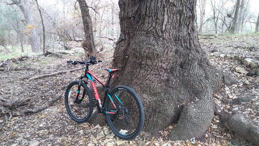 Bicycle Store «Ride Away Bicycles», reviews and photos, 5519 W Loop 1604 N Suite 108, San Antonio, TX 78253, USA